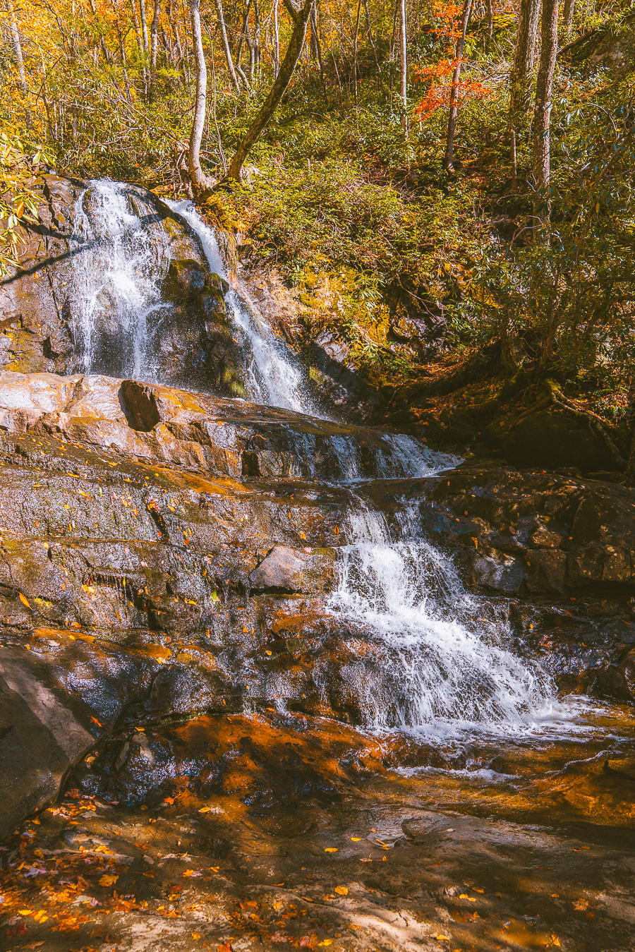 Things to Do in Great Smoky Mountains