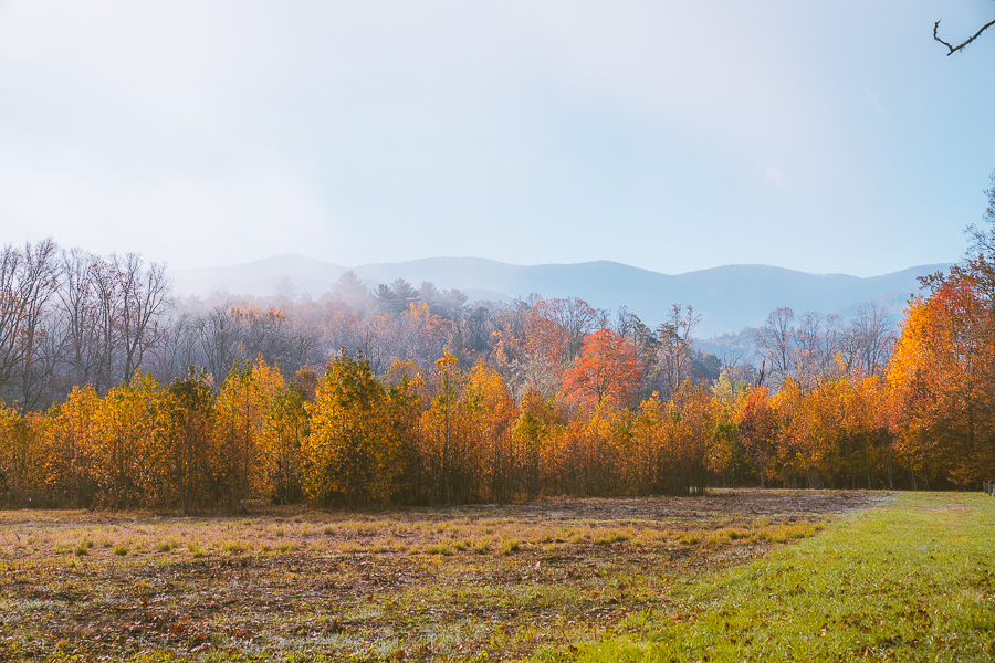 Things to Do in Great Smoky Mountains