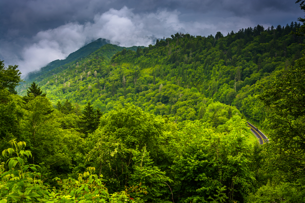 Things to Do in Great Smoky Mountains