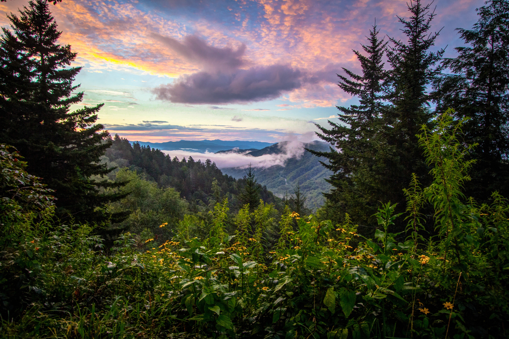 Things to Do in Great Smoky Mountains