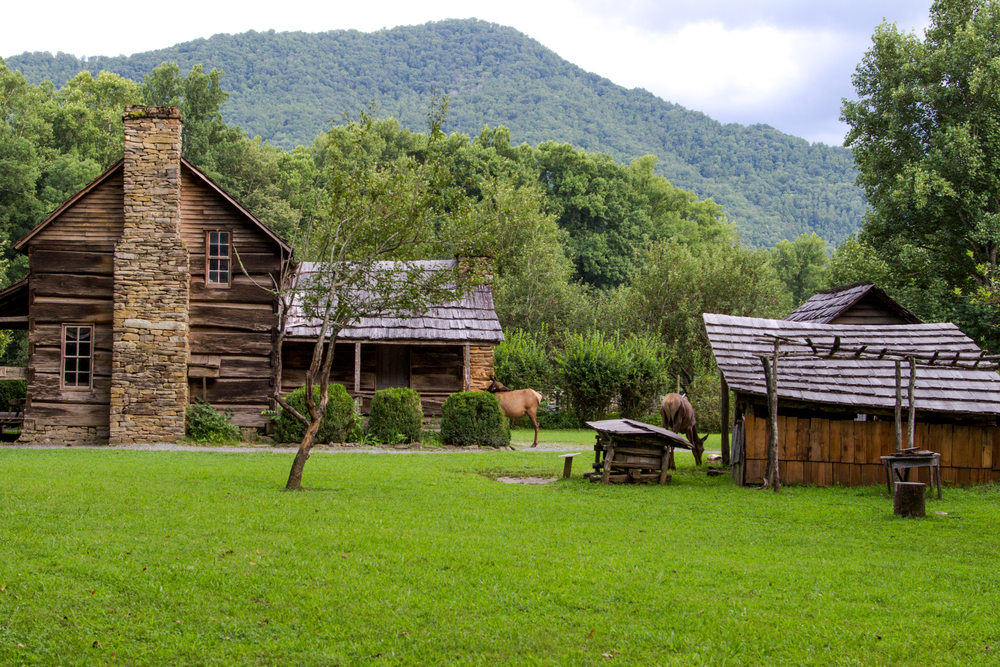 Things to Do in Great Smoky Mountains