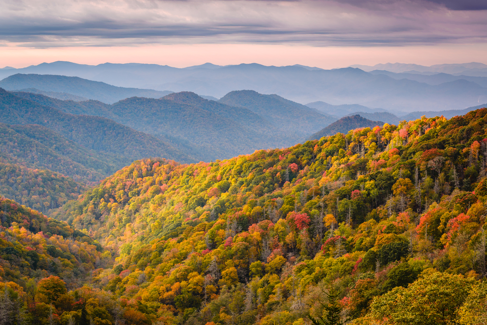 Things to Do in Great Smoky Mountains