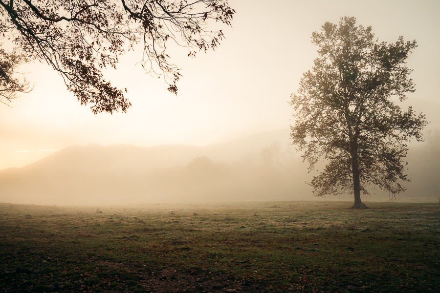 Things to Do in Great Smoky Mountains