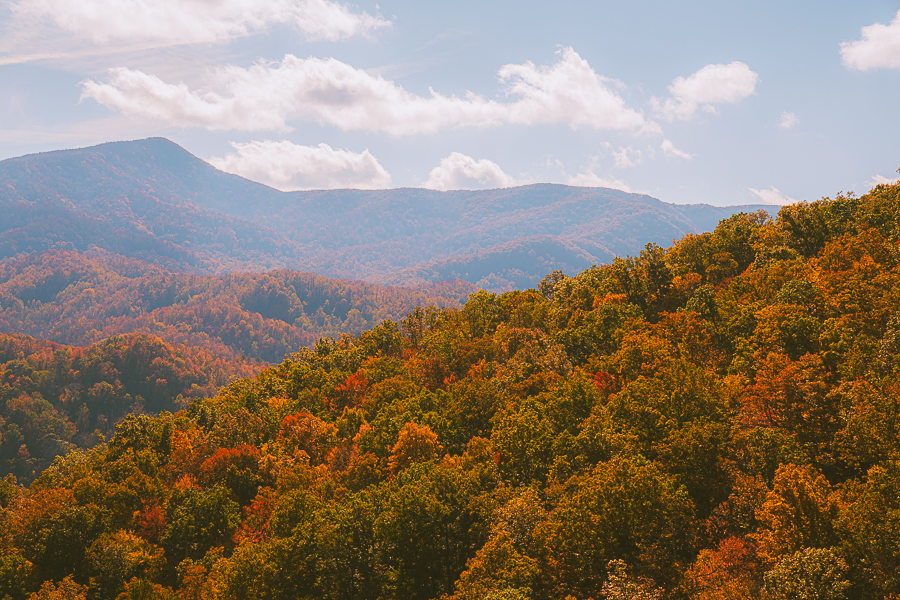 Things to Do in Great Smoky Mountains