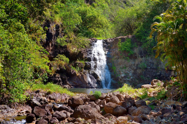 Best Hikes in Oahu | 10 Exhilarating Hiking Trails in Hawaii - The ...