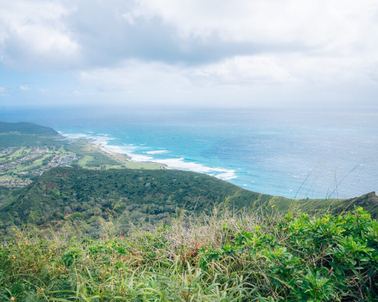Best Hikes in Oahu | 10 Exhilarating Hiking Trails in Hawaii
