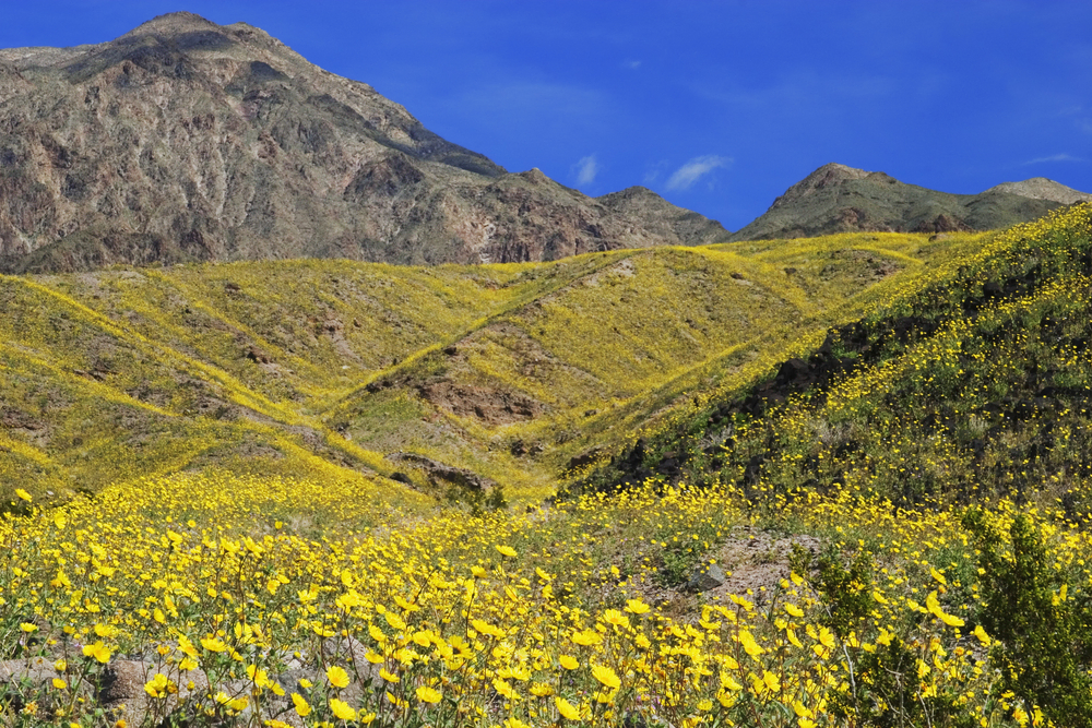 Best Time to Visit Death Valley