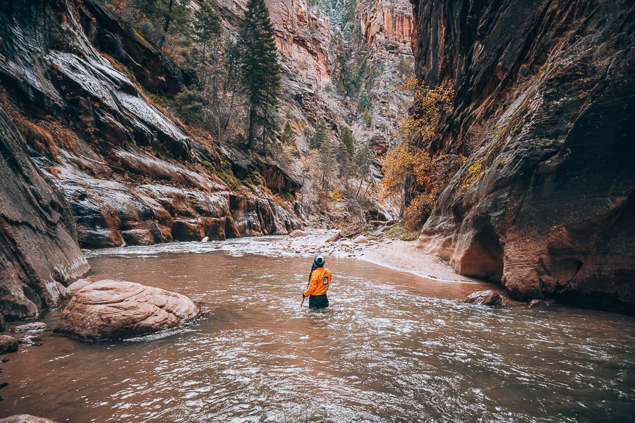 Best Time to Visit Zion National Park