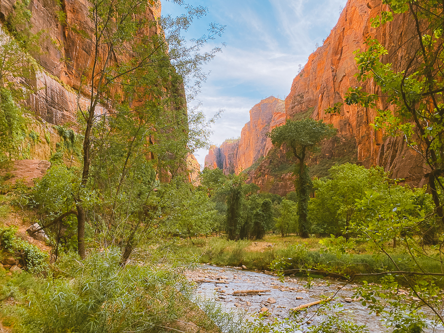 Zion National Park Itinerary