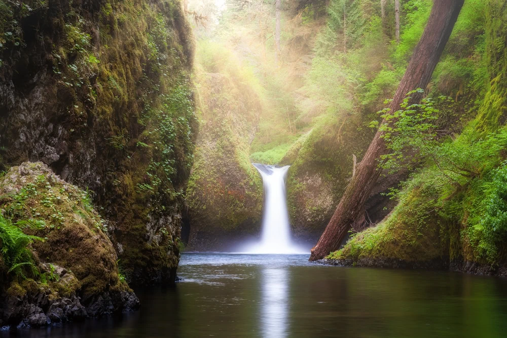 Best Columbia River Gorge Hikes