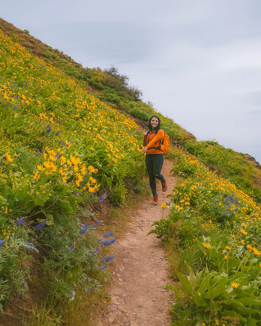 Best Columbia River Gorge Hikes