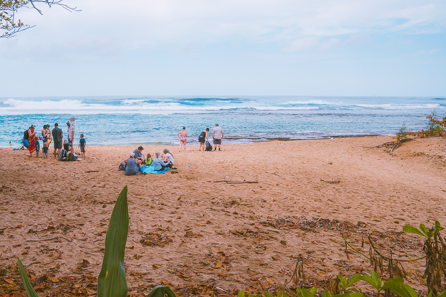 Best Things to Do in Kauai