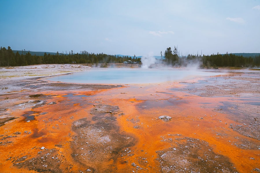 Best Time to Visit Yellowstone National Park