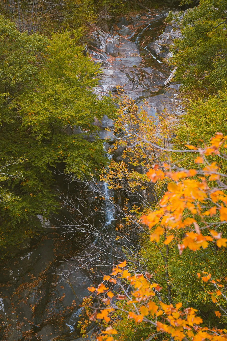 Shenandoah National Park Itinerary