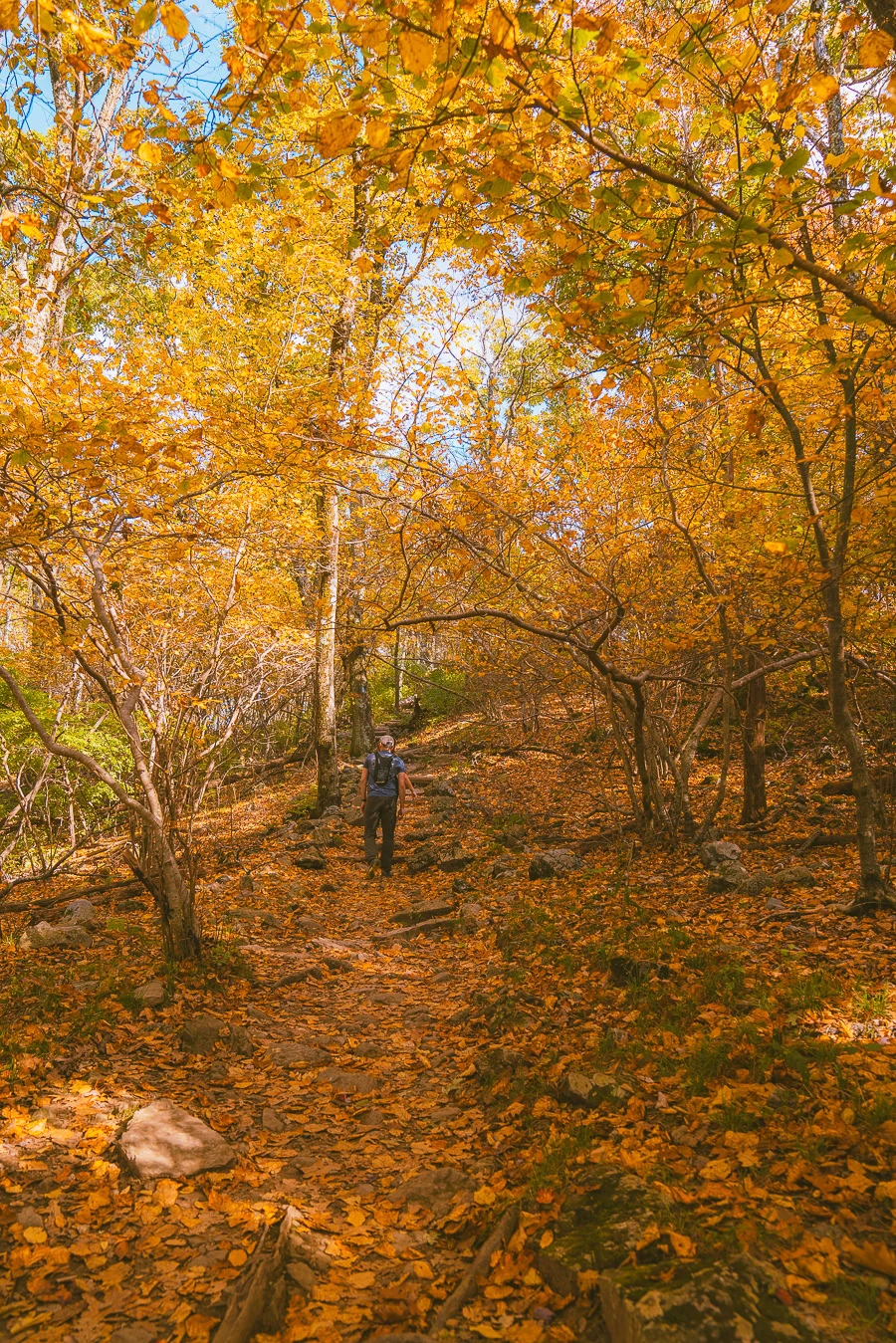 Shenandoah National Park Itinerary