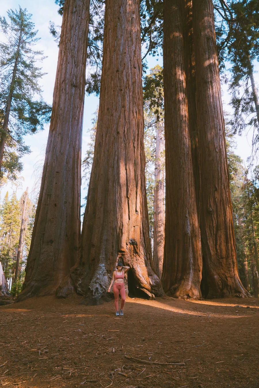 Sequoia National Park Itinerary