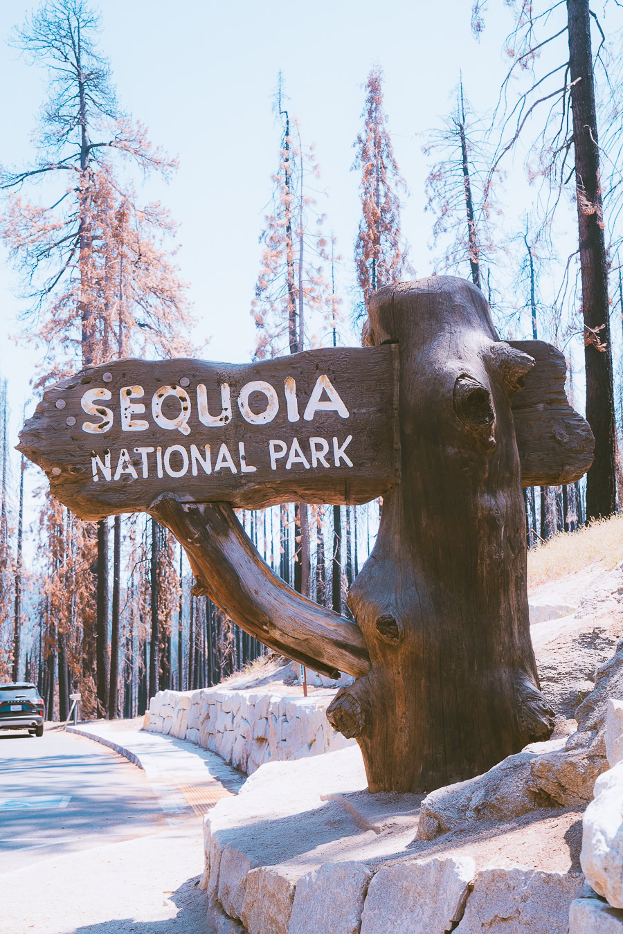 Sequoia National Park Itinerary