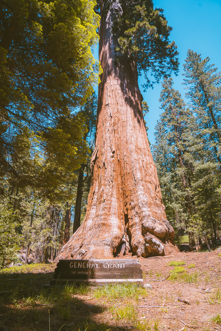 Sequoia National Park Itinerary