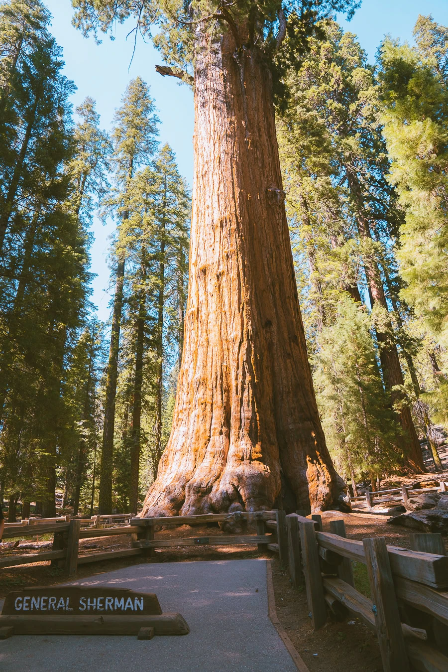 Sequoia National Park Itinerary