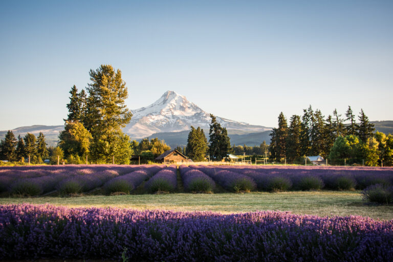 Things to Do in Hood River, Oregon | 20 Top Activities