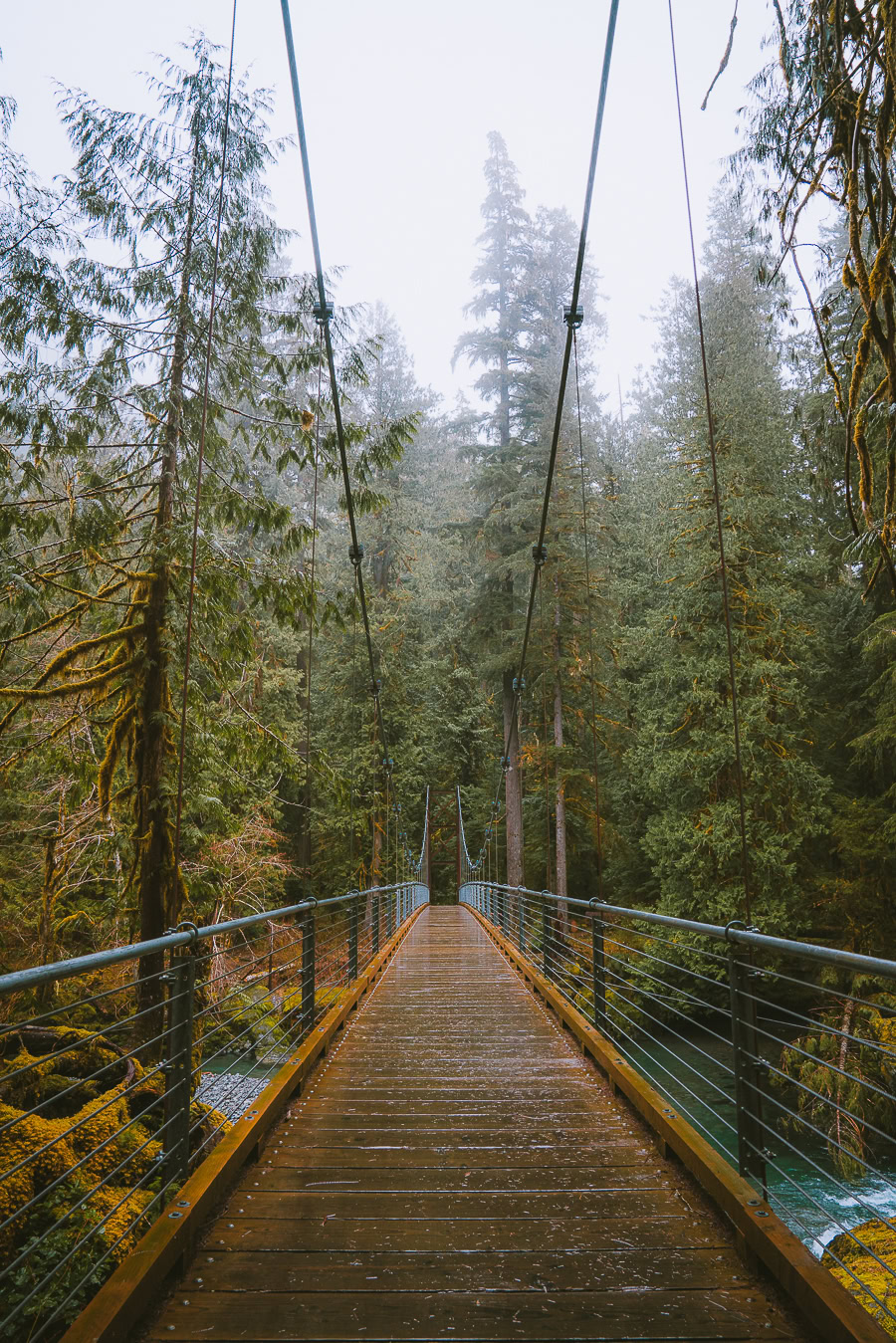Best Time to Visit Olympic National Park