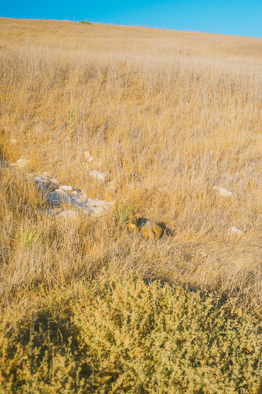 Things to Do in Channel Islands