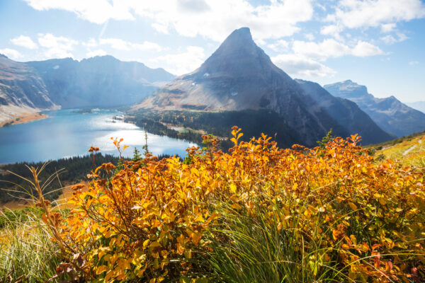 Best Time To Visit Glacier National Park | A Guide for 2026 - The ...