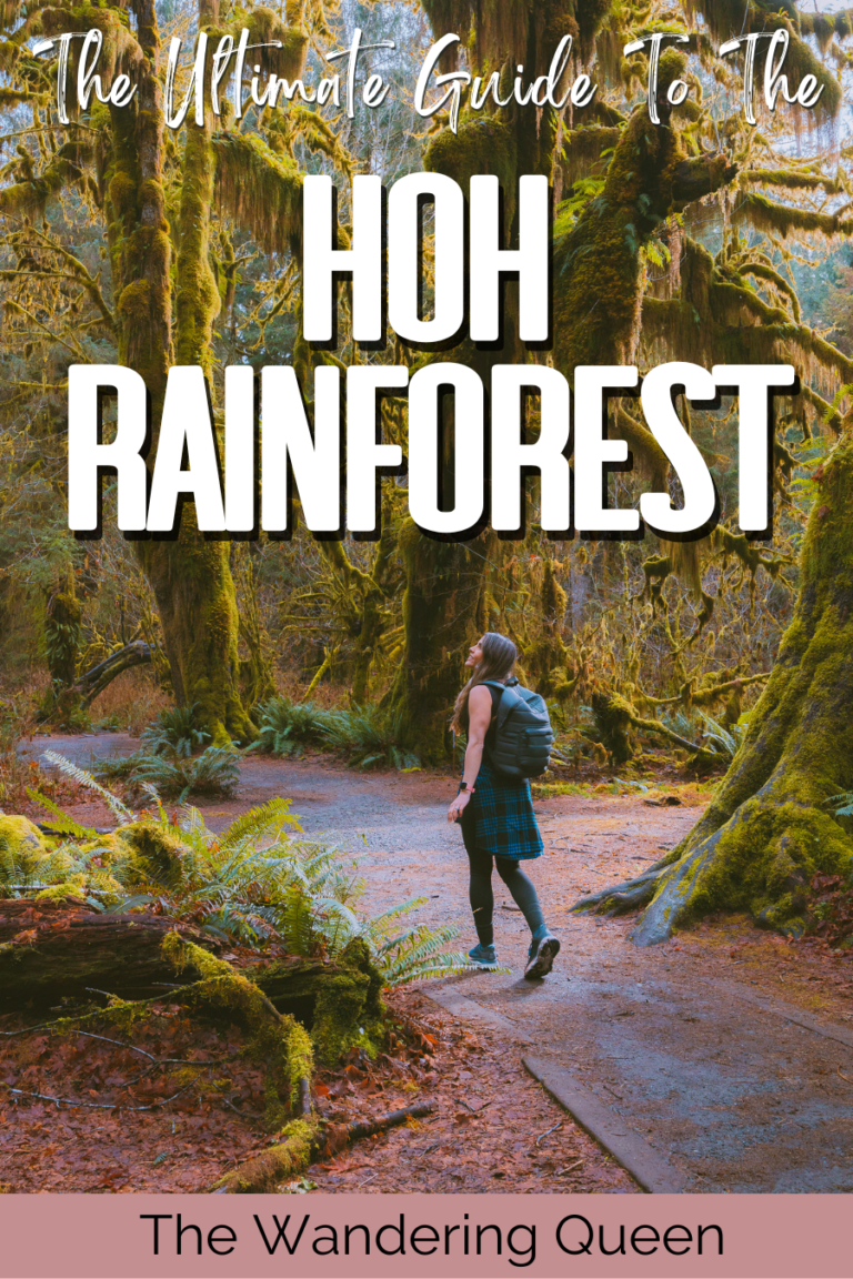 The Only Guide To Hiking In The Hoh Rainforest You Ll Ever Need The Hiking In The Hoh Rainforest 2 768x1152 