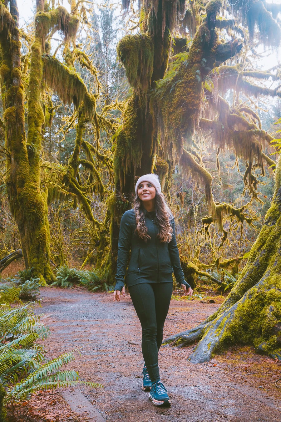 The Only Guide to Hiking in the Hoh Rainforest You ll Ever Need The Wandering Queen
