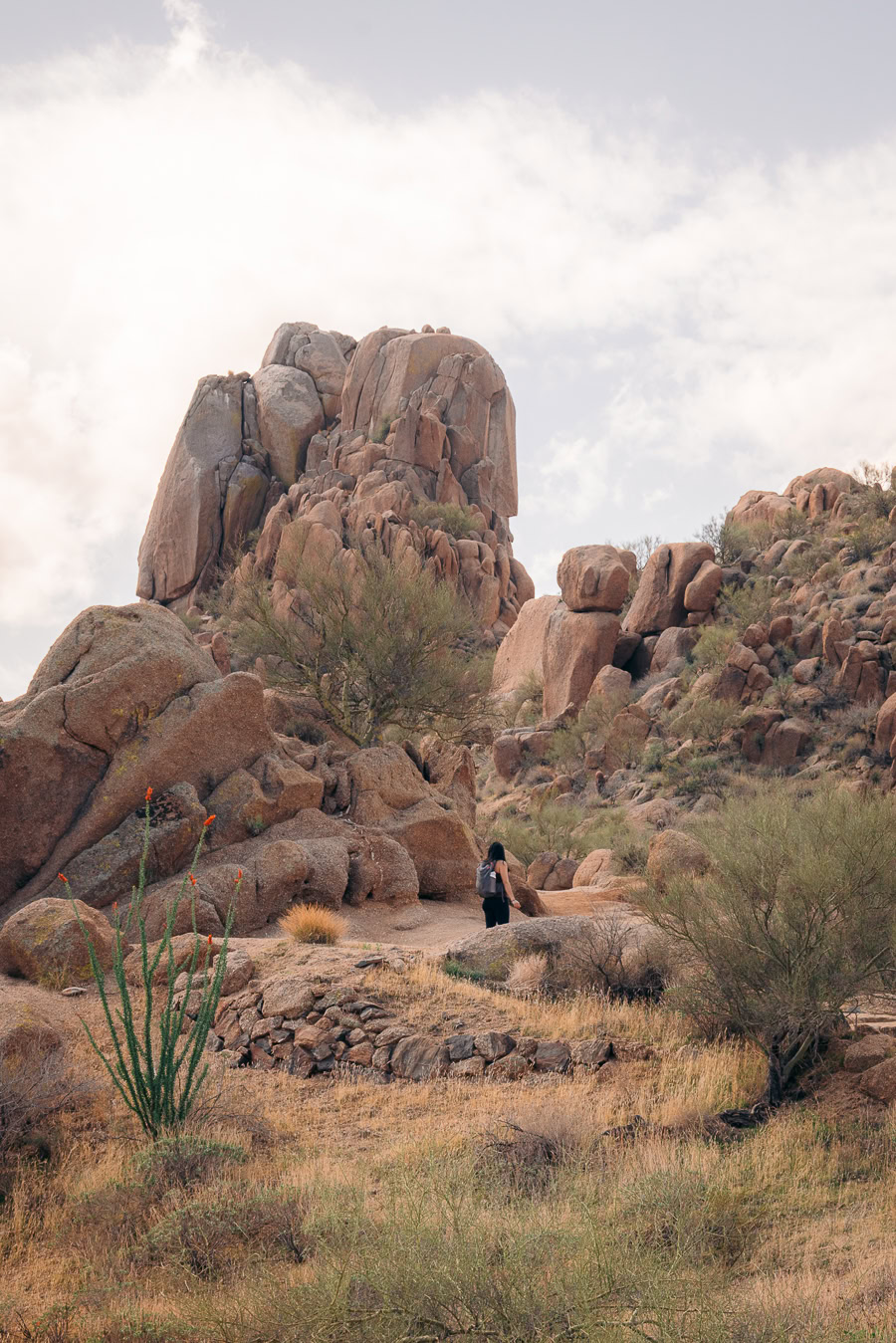 Things to Do in Scottsdale