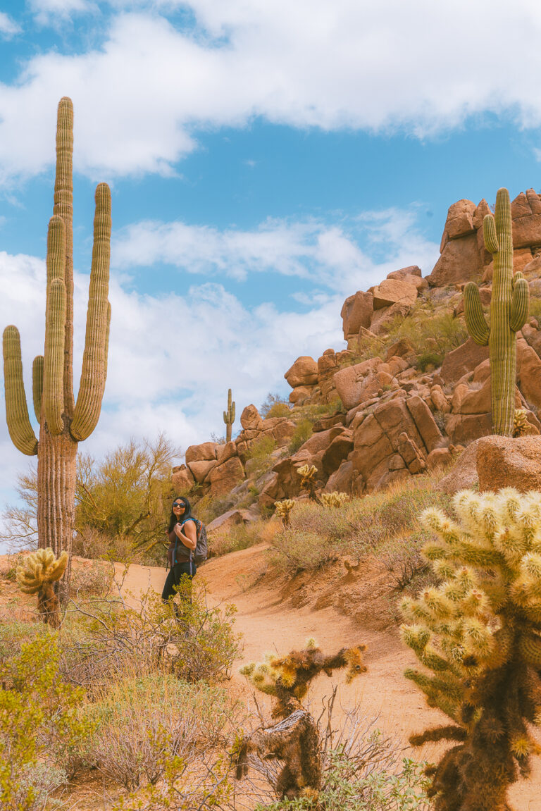 15 Best Things to Do in Scottsdale, Arizona: Family Getaway in Scottsdale