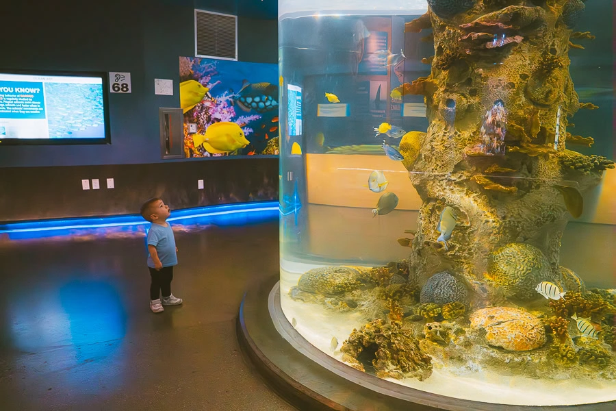 Things to Do in Scottsdale