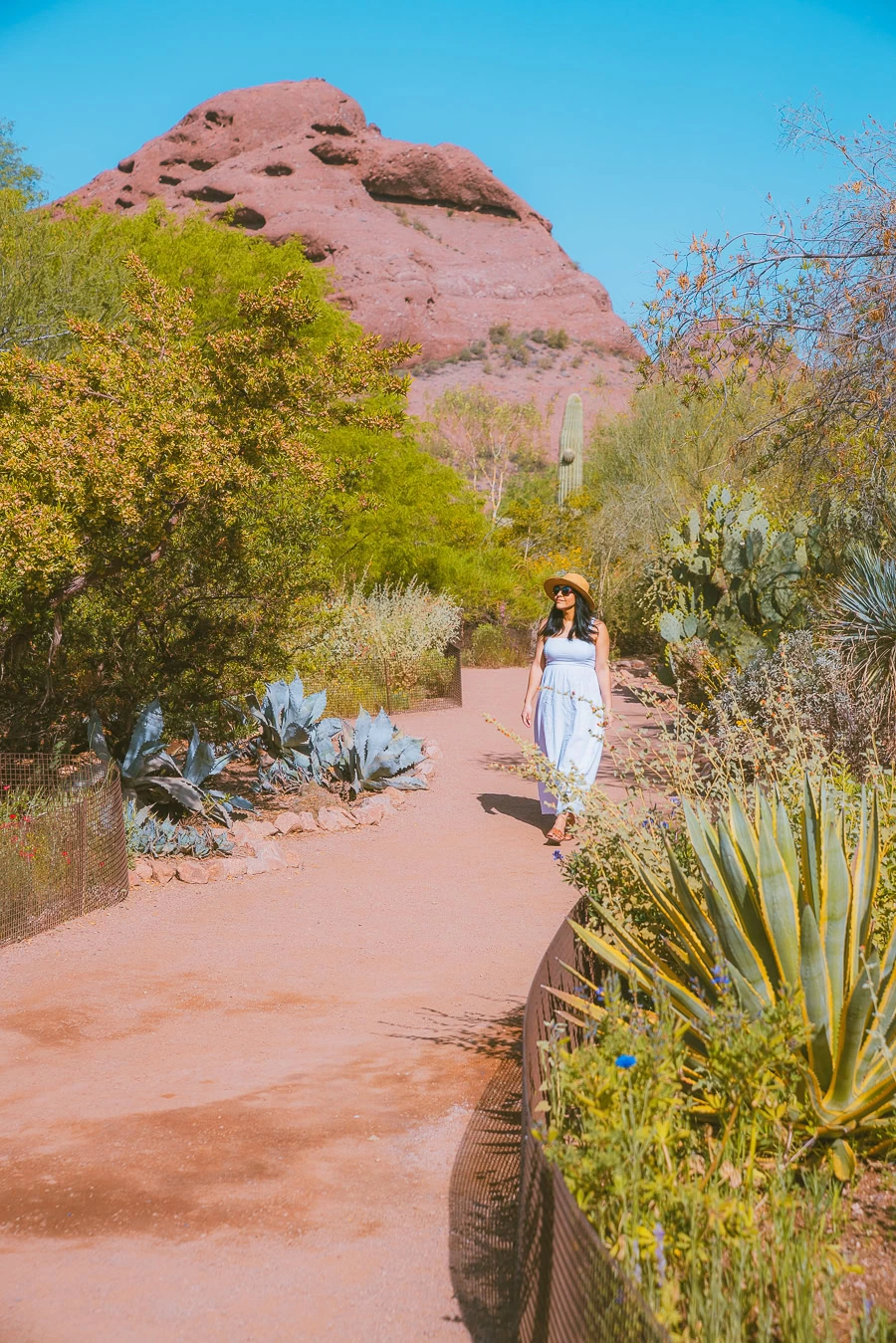 Things to Do in Scottsdale