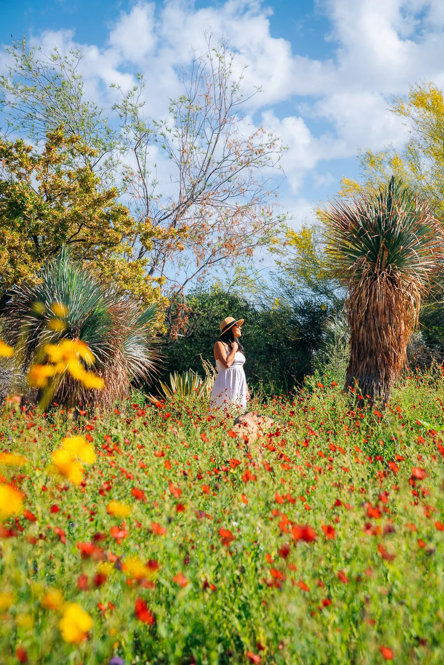 Things to Do in Scottsdale