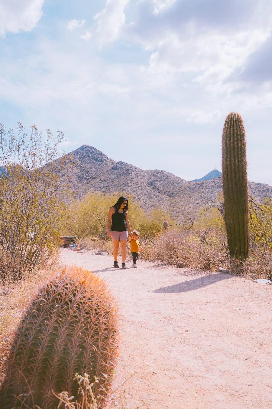 Things to Do in Scottsdale